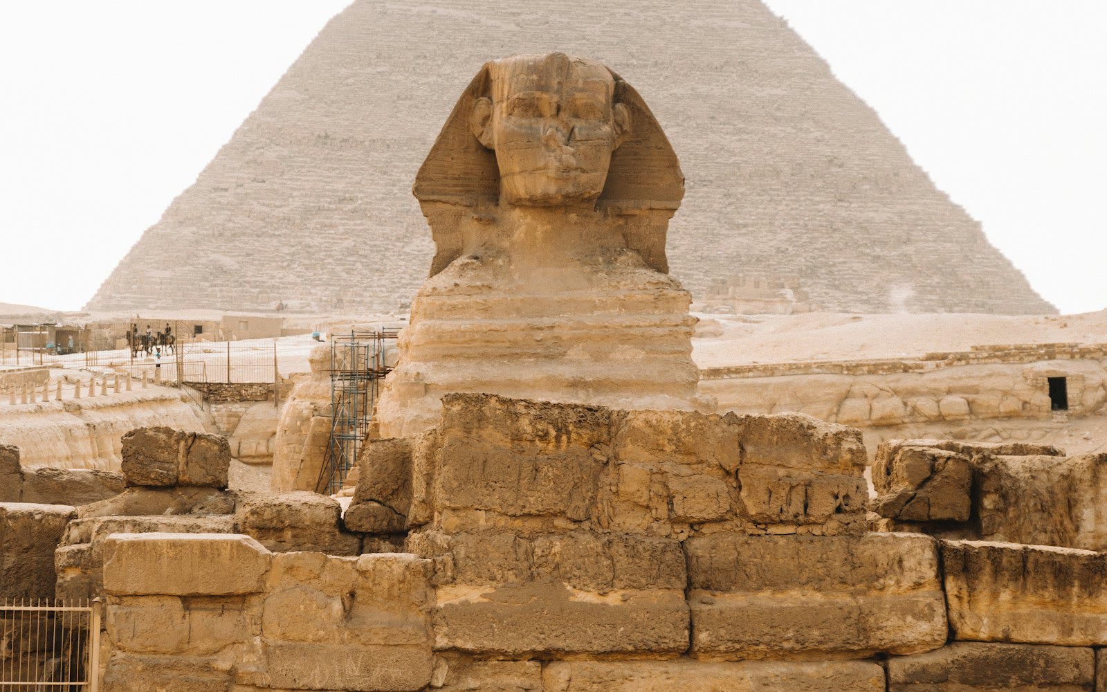 مصر