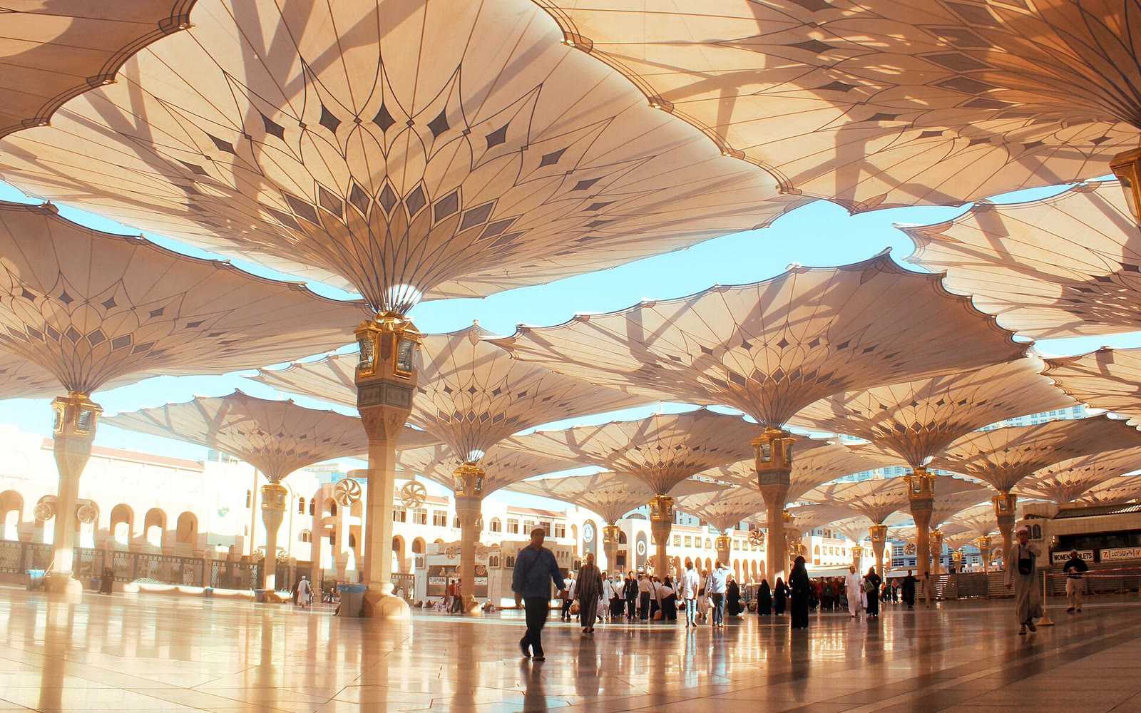 المدينة المنورة