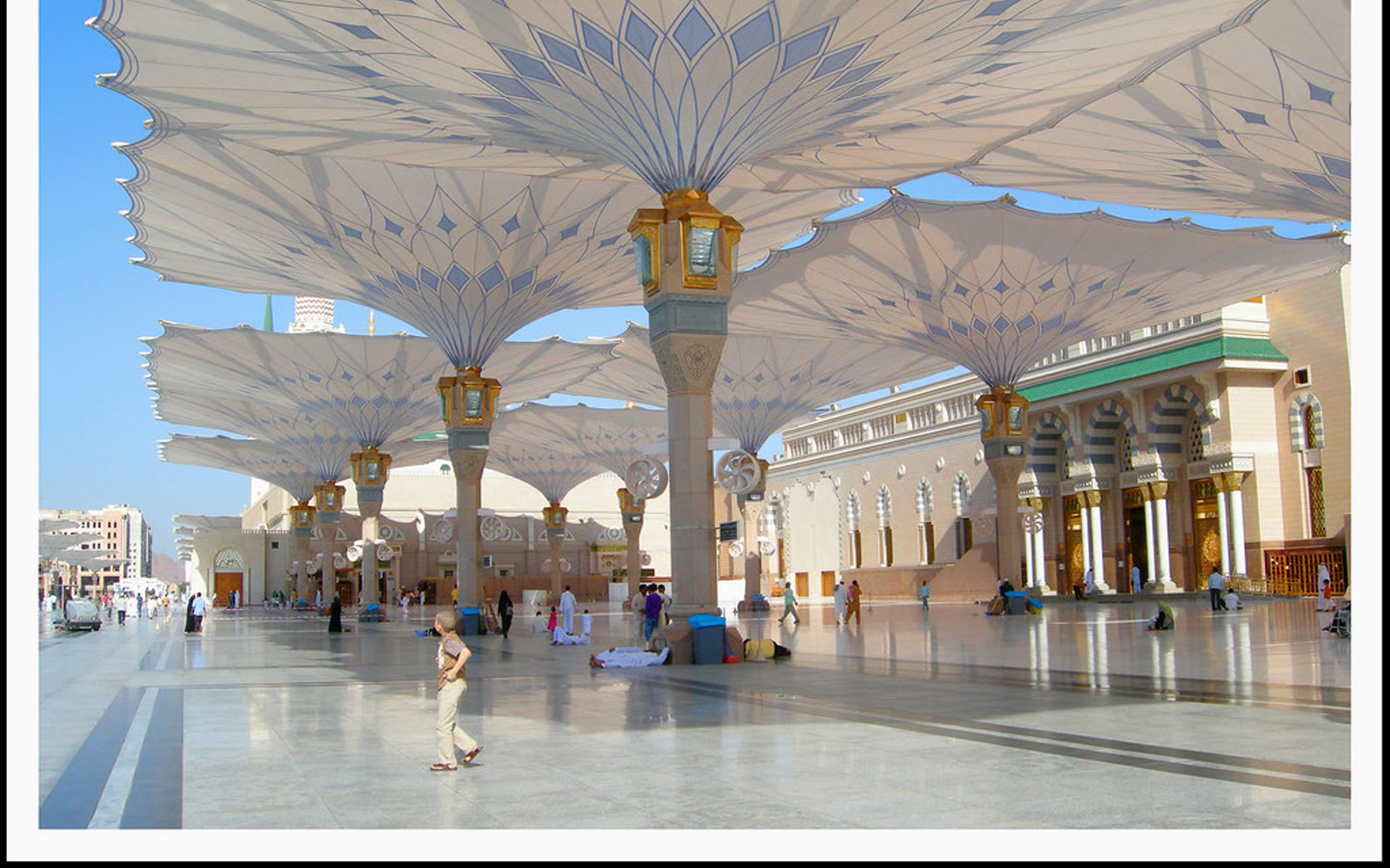 المدينة المنورة