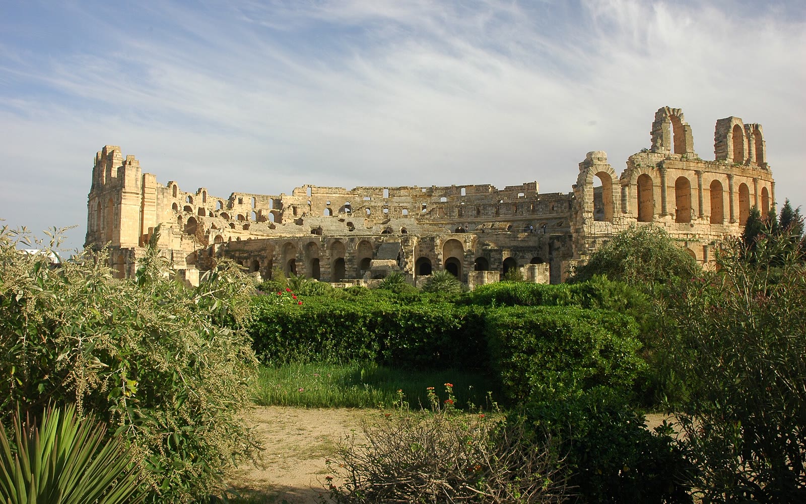 تونس